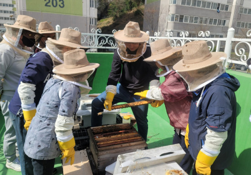 도시양봉 사업 「상리봉봉」 활동 실시