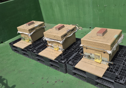 도시양봉 사업「상리봉봉」활동 재개